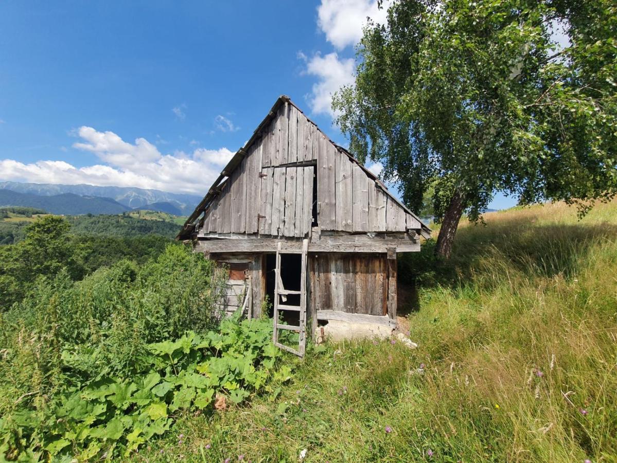 La Odai Bran  Exterior photo